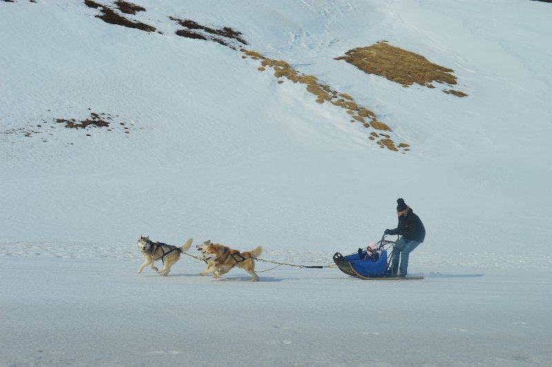 Dog sledding (03).JPG